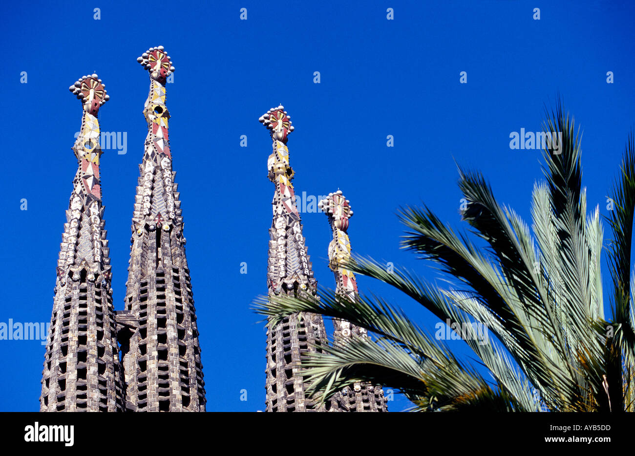 Détails de la Sagrada Familia Barcelone Espagne Banque D'Images