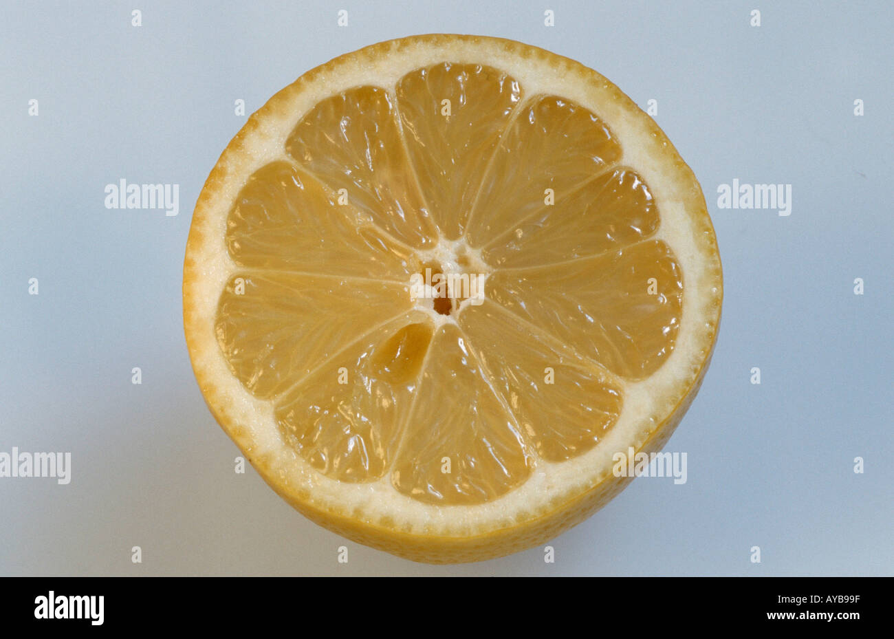 Le citron Citrus limon Zitrone Nutzpflanzen plantes utiles Rautengewaechse Rutaceae Nahrungsmittel jaune gelb alimentaire Querformat Banque D'Images