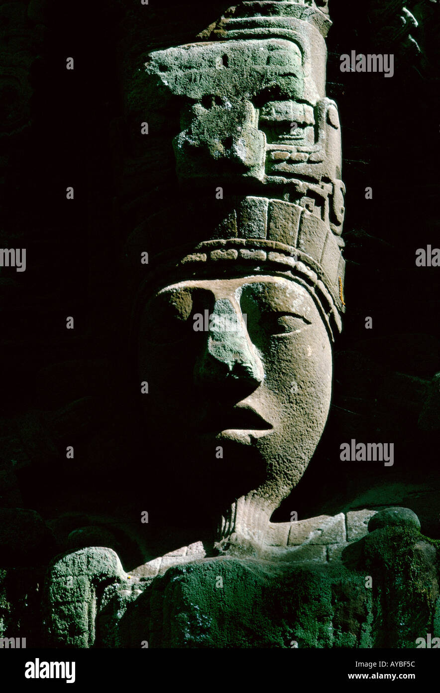 Ruines mayas de Quirigua Guatemala. Période classique gros plan de la tête de la Stèle D représentant le Roi Cauac Sky Banque D'Images