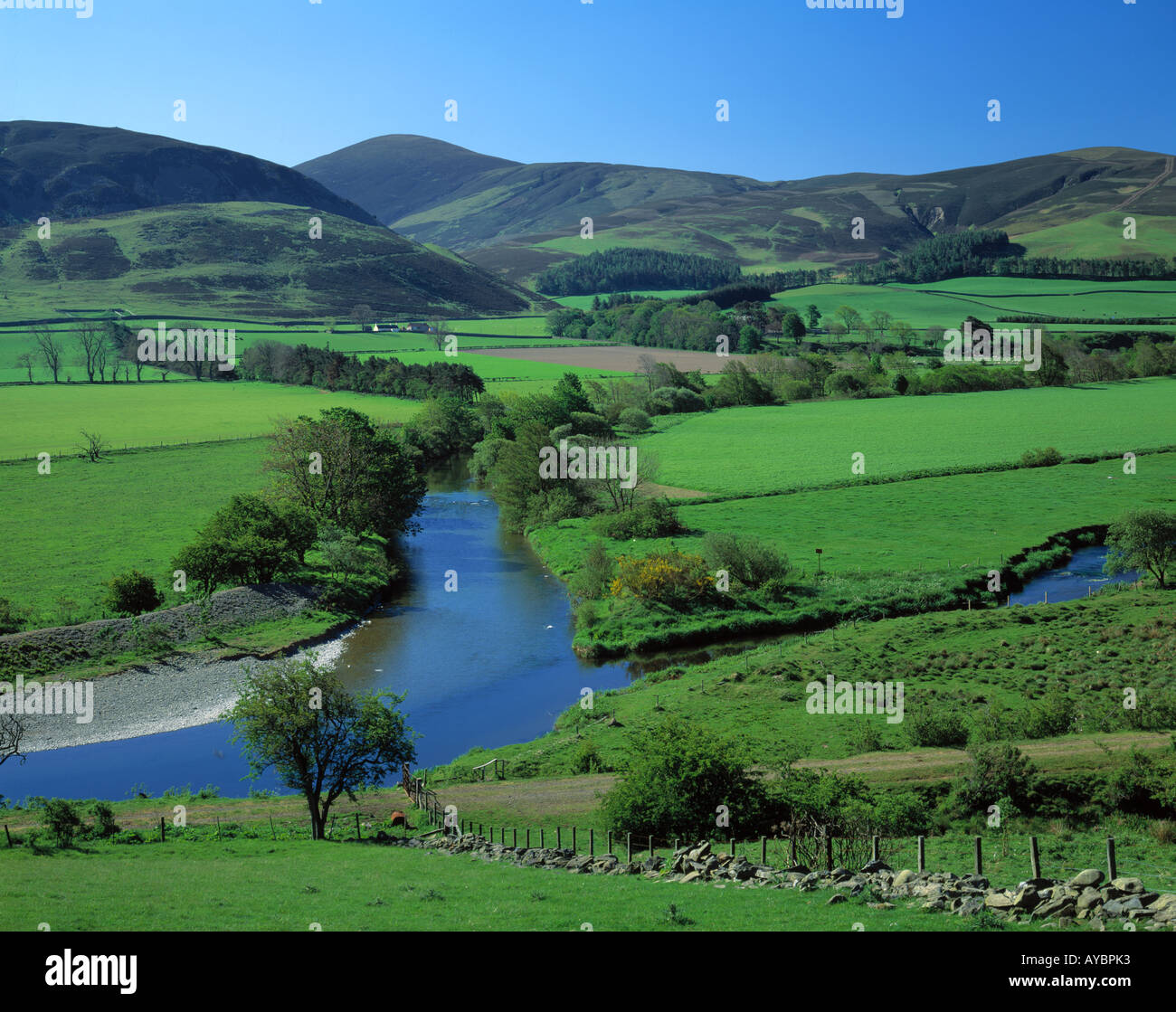 Go SCOTLAND BORDERS EAST TWEEDDALE RIVER TWEED PRÈS DE DRUMELZIER Banque D'Images