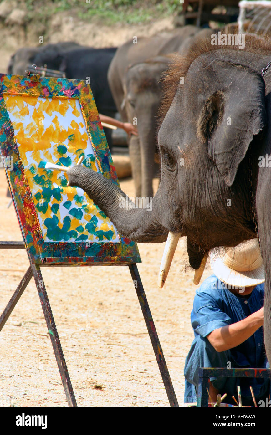 Peinture de chevalet de l'artiste à l'éléphant. Maesa Elephant Camp de formation près de Chiang Mai dans le Nord de la Thaïlande Banque D'Images