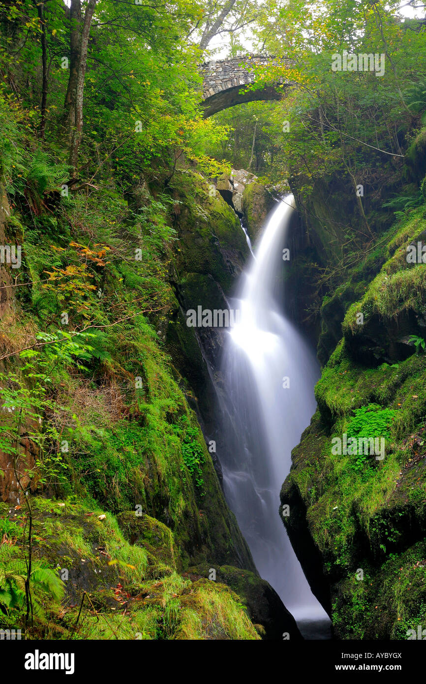 Chute d'Aira Force Lac Ullswater Lake District Cumbria England Angleterre UK Banque D'Images