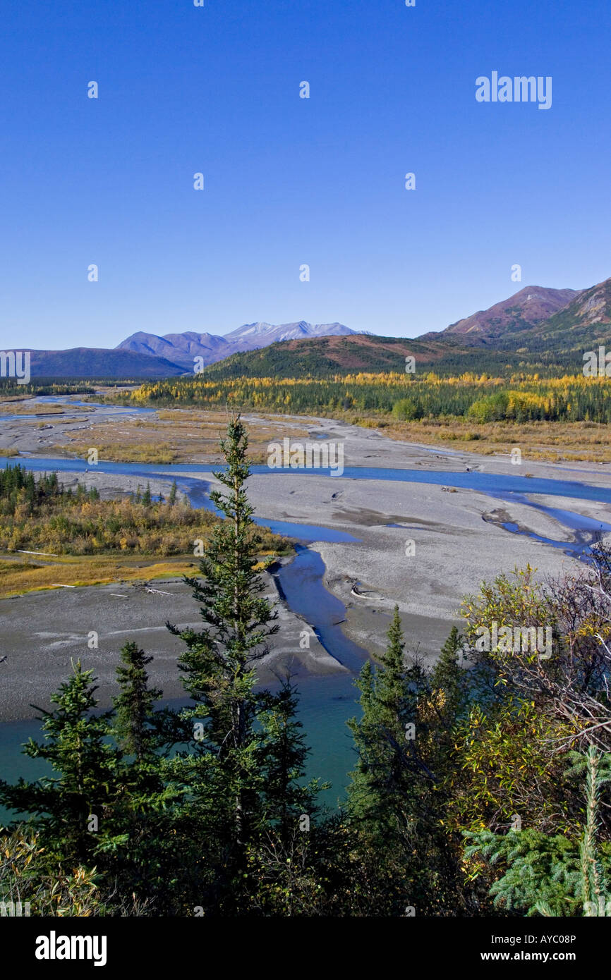 USA, Alaska. Couleurs d'automne blaze dans la toundra le long de la rivière Nenana. Banque D'Images