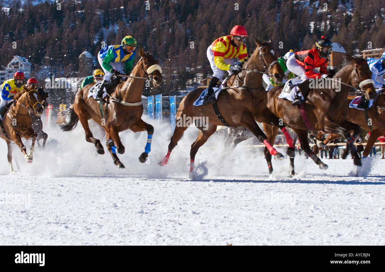 Jura-foot Suisse cheval de course speed Banque D'Images