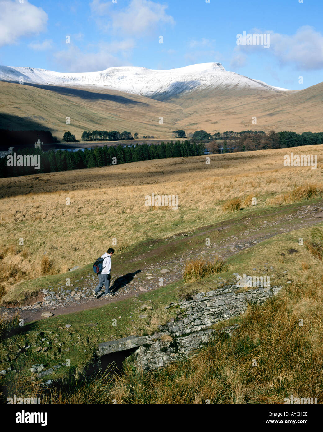 Les Brecon Beacons de taf fechan établissement blaen Banque D'Images