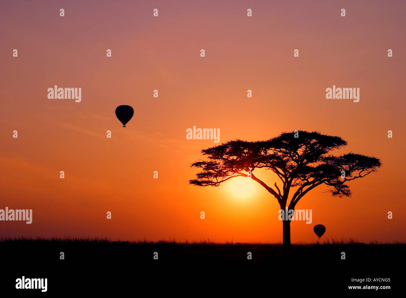 Montgolfières NP Serengeti Tanzanie Banque D'Images