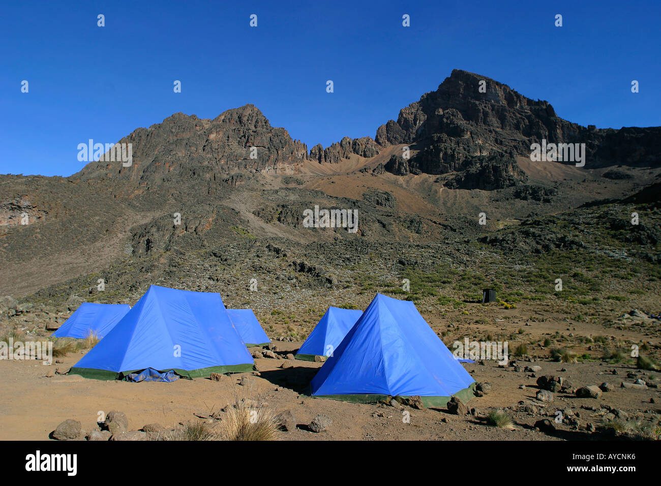 Camp de tentes de Mawenzi NP Tanzanie Kilimandjaro Banque D'Images