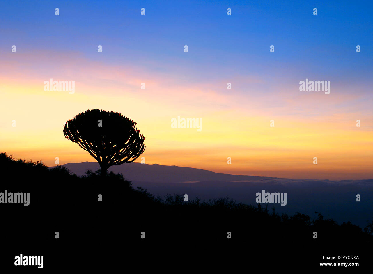 Sunrise Nogorongoro Conservation Tanzanie Banque D'Images