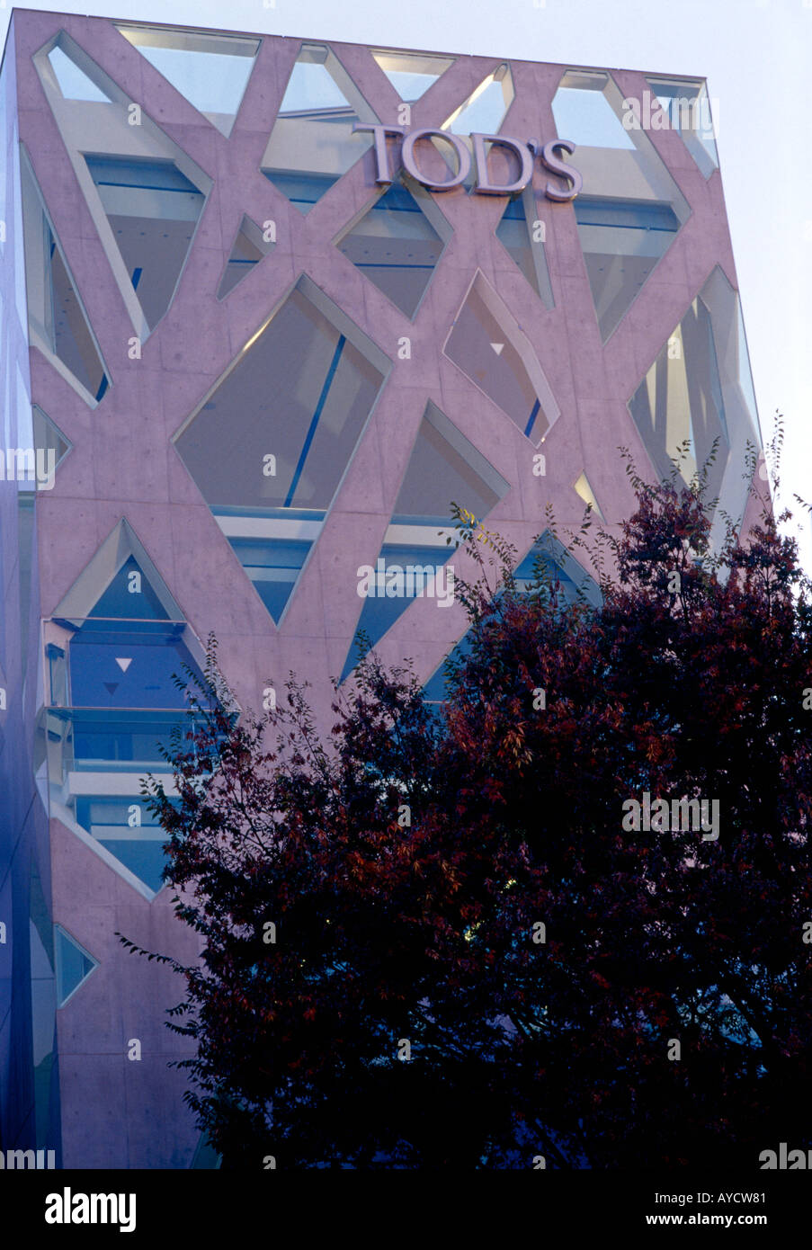Tod's Omotesando Building, 5-1-15 Jingum', Shibuya-ku, Tokyo, 2004. Dans l'ensemble de l'extérieur. Architecte : Toyo Ito and Associates Banque D'Images