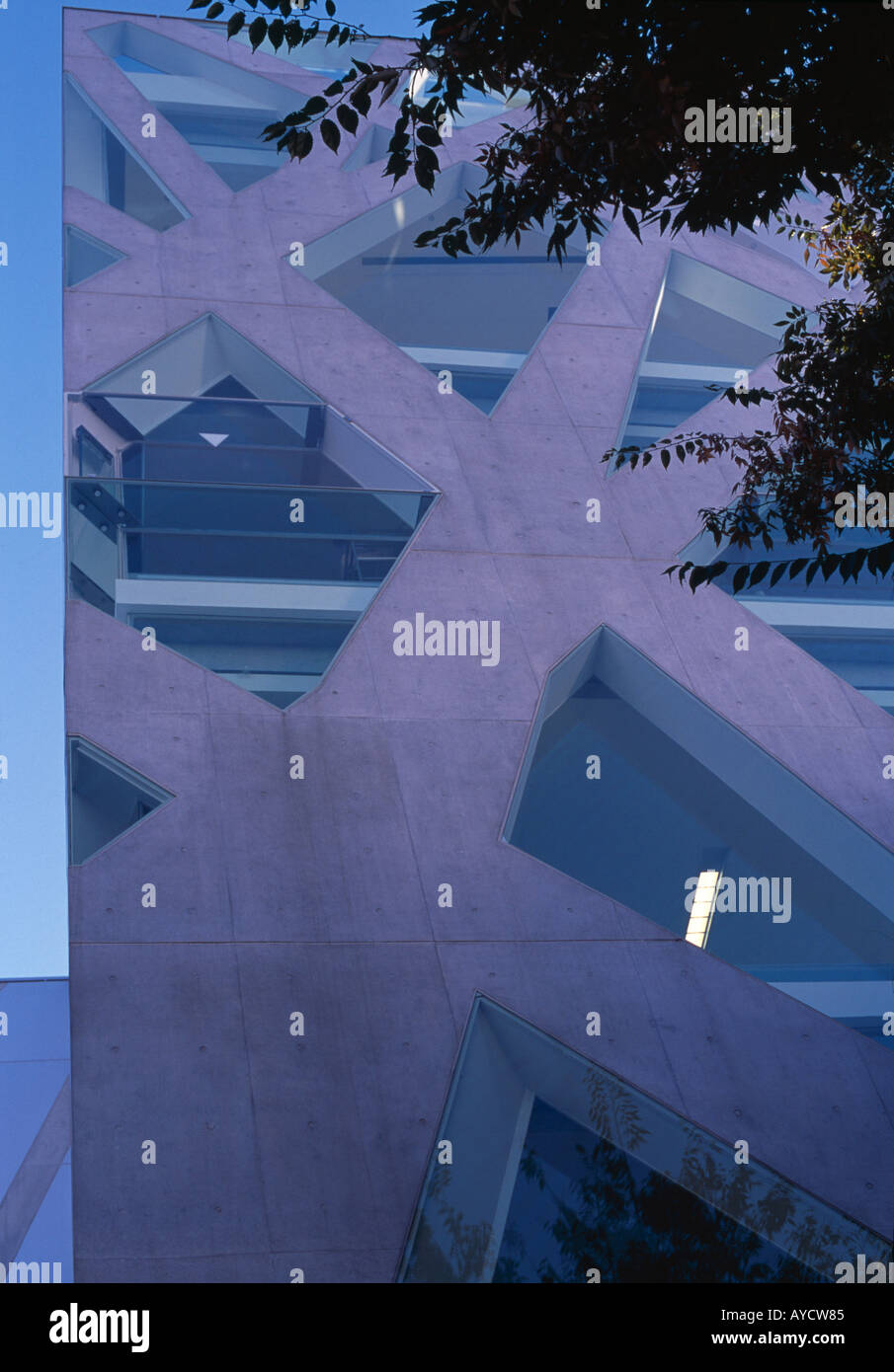Tod's Omotesando Building, 5-1-15 Jingum', Shibuya-ku, Tokyo, 2004. Architecte : Toyo Ito and Associates Banque D'Images