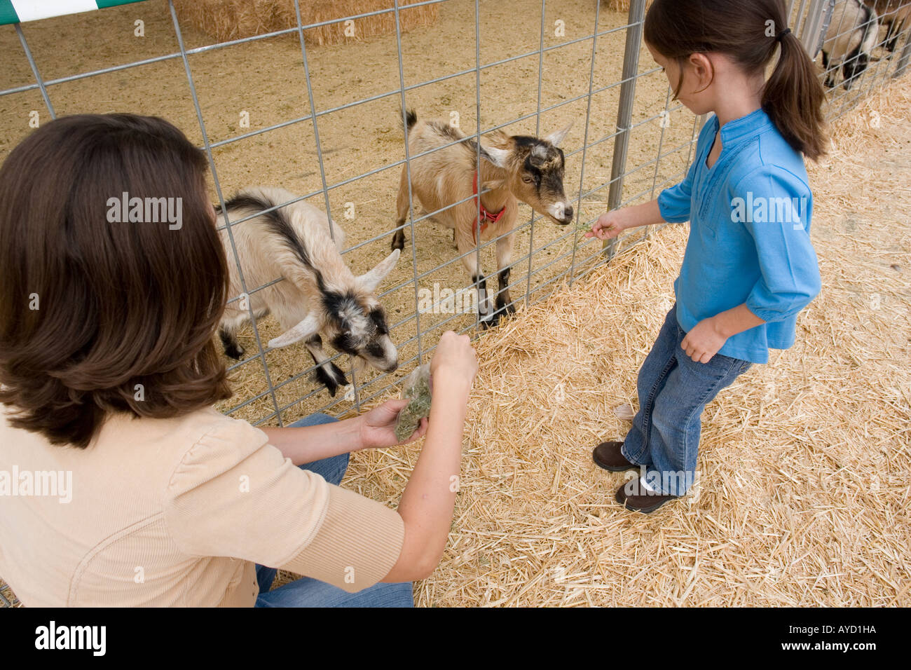 Famille avec les animaux de zoo Banque D'Images