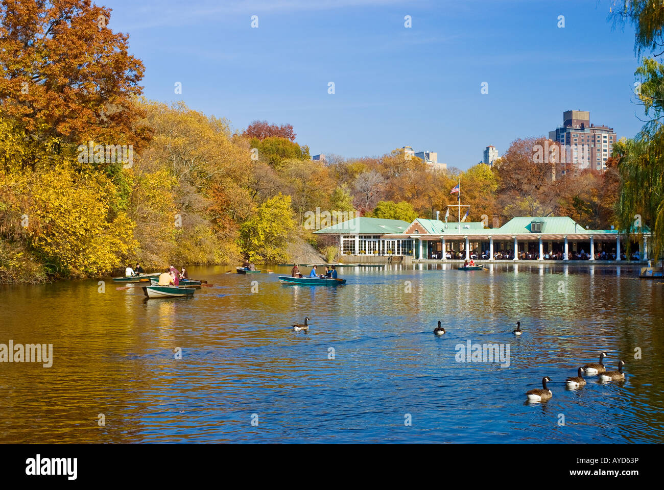 Automne à Central Park, canotage et chaloupes au lac Boathouse, New York Banque D'Images