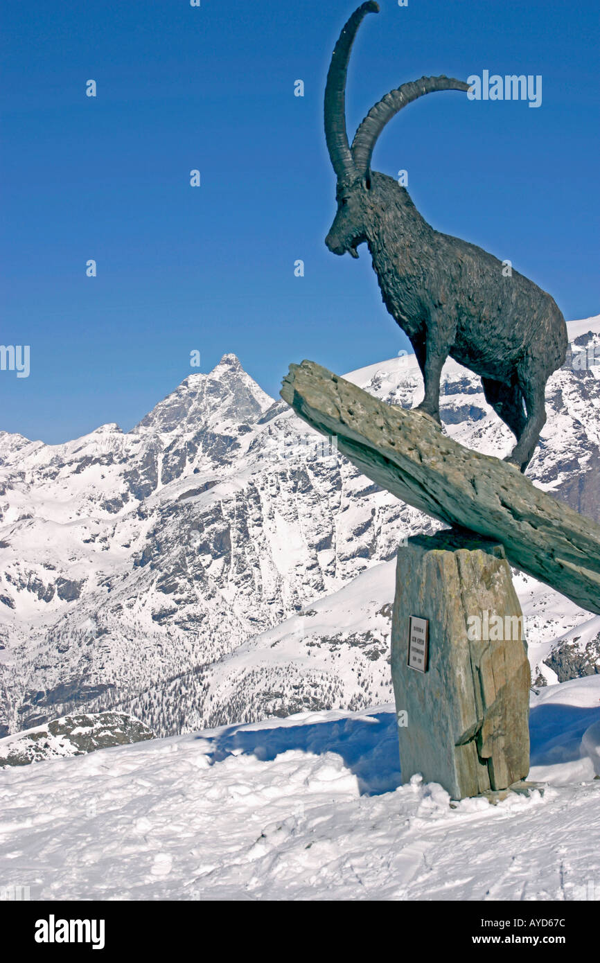 Chamois sur la station de ski de Courmayeur Italie avec la face sud du Cervin ou mon Cervin en arrière-plan Banque D'Images