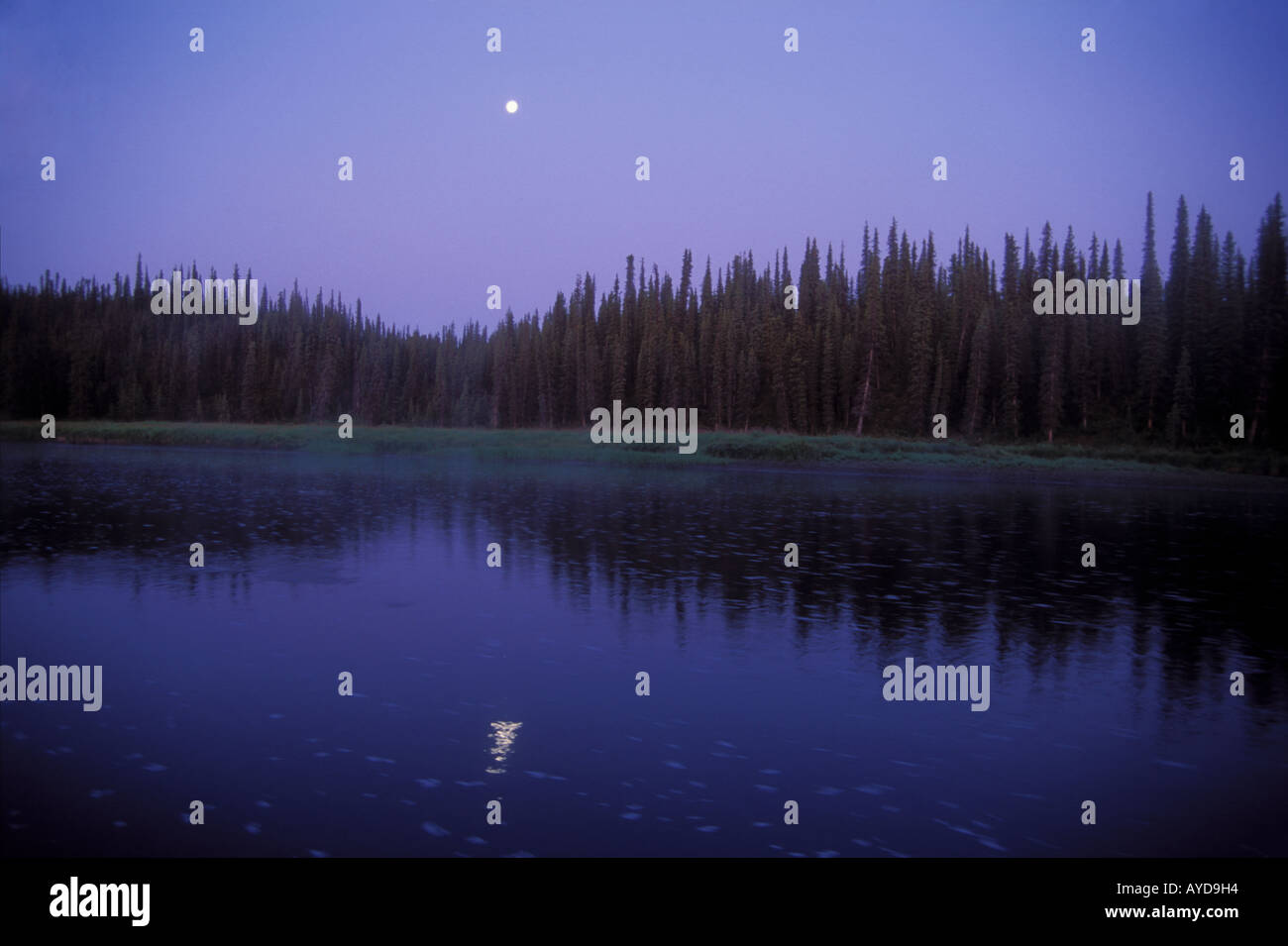 Lune nuit plus de Gulkana river national wild and scenic Alaska Banque D'Images