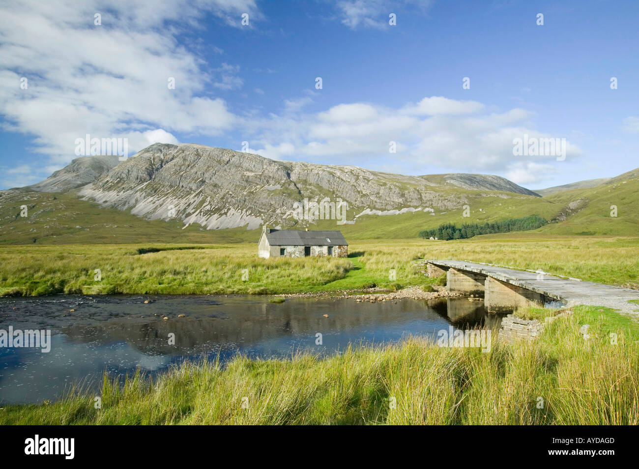 Marcher dans le domaine forestier de l'Arkle, Reay, Sutherland, Scotland, UK Banque D'Images