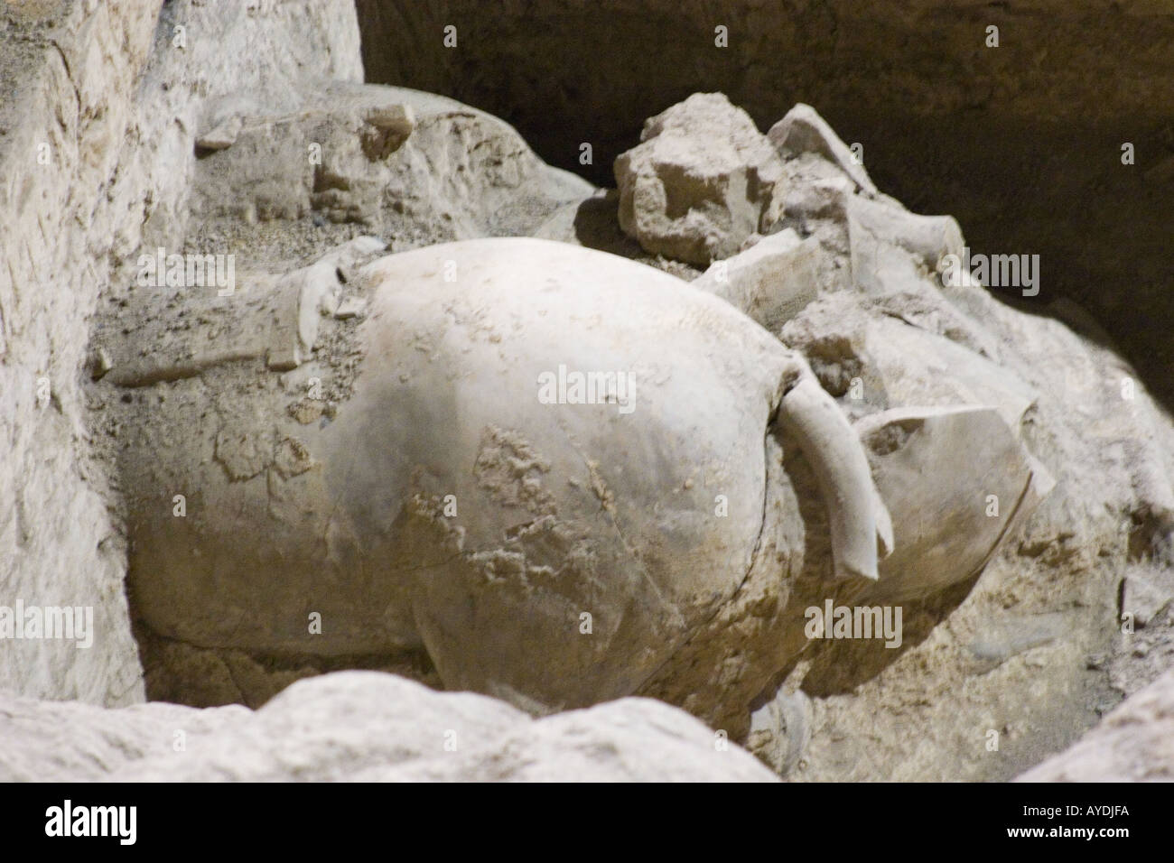 Les chevaux sculptés dans le musée de Terre Cuite Xian, Chine Banque D'Images