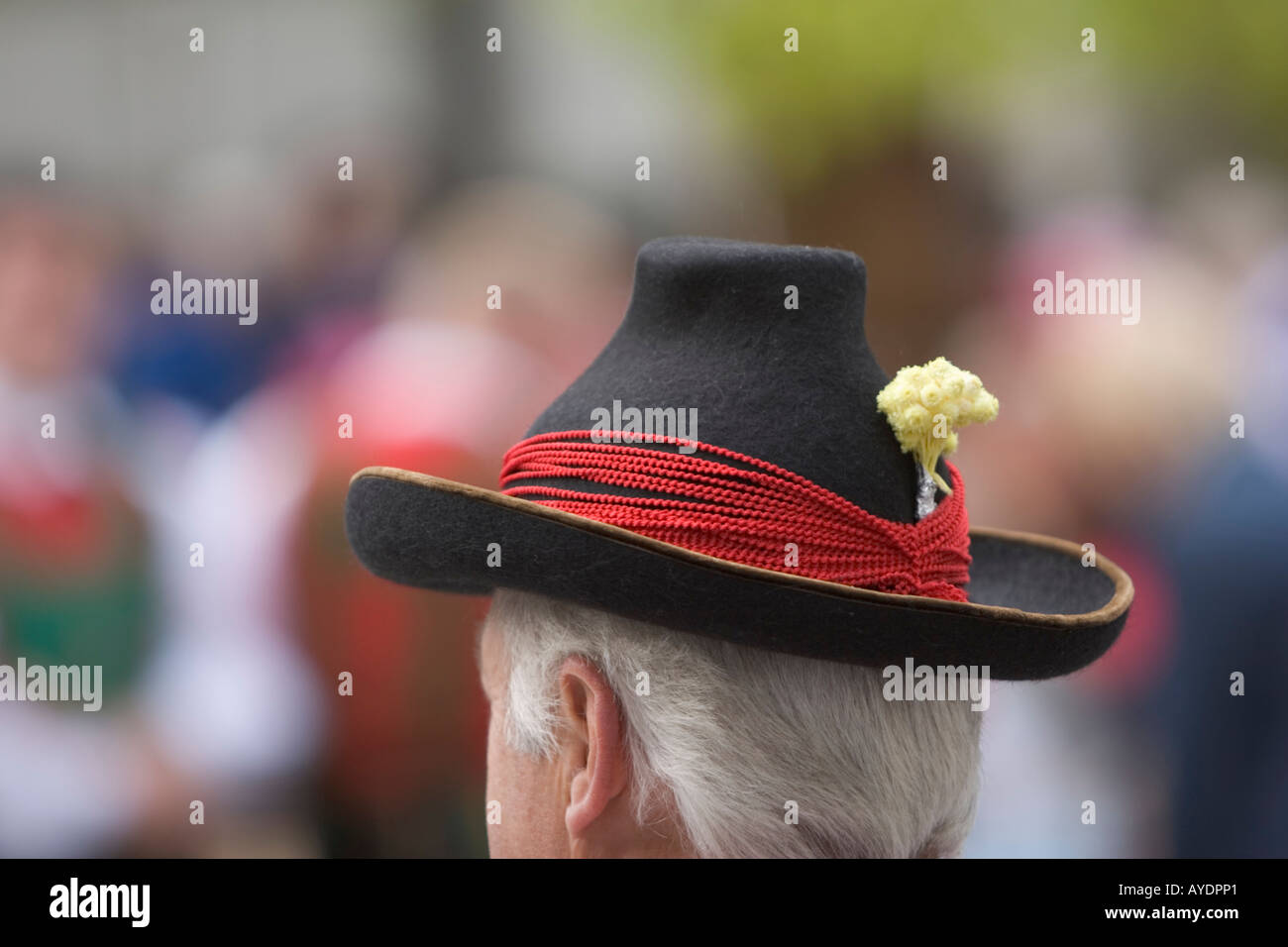 Chapeau tyrolien traditionnel Banque D'Images