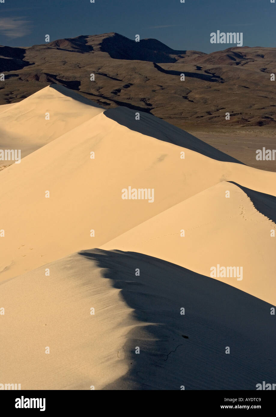 Eureka dunes dans Death Valley National Park, California, USA Banque D'Images