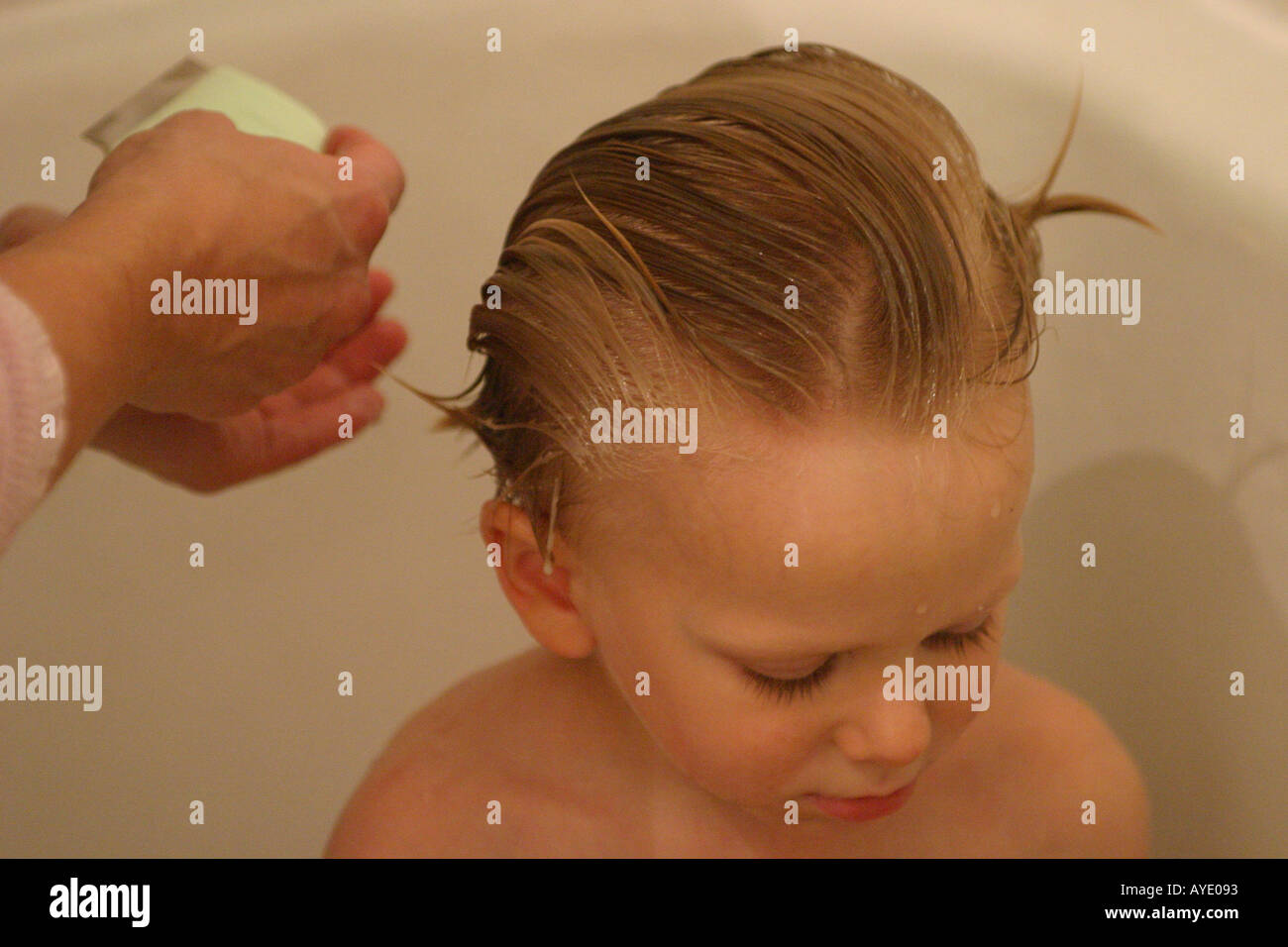 Un garçon de trois ans a les cheveux pour les poux peignés par sa mère Banque D'Images