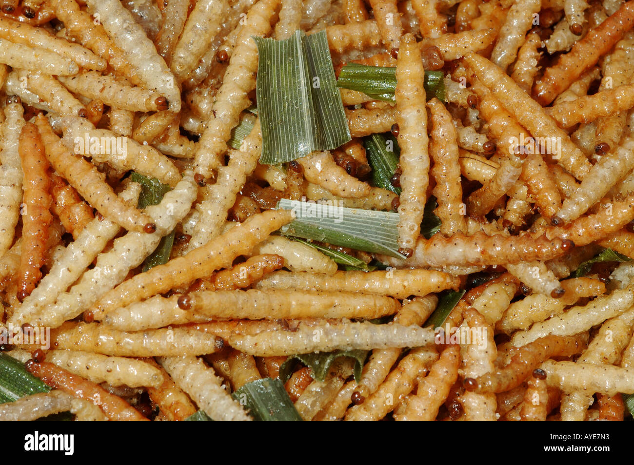 Les chenilles frits à vendre dans un marché de Bangkok de Khao San Road Banque D'Images