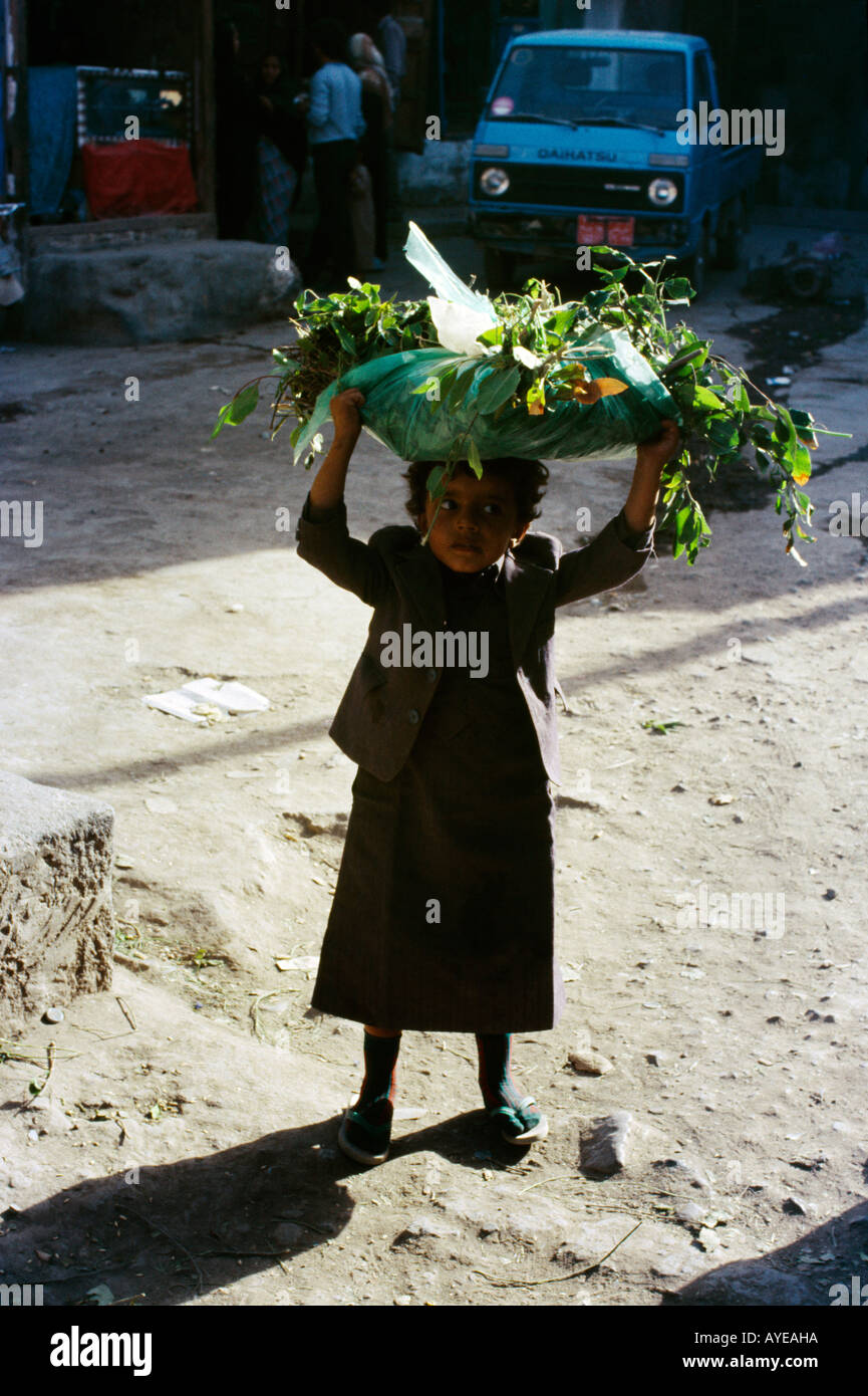 Daimer Yémen enfant portant Qat sur la tête Banque D'Images