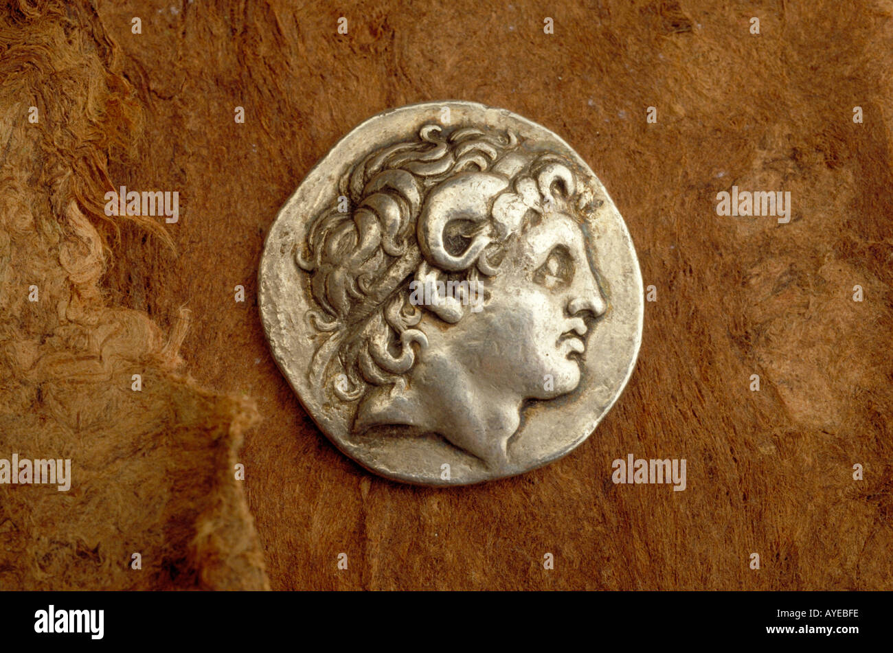 Seule pièce de monnaie romaine antique Banque D'Images