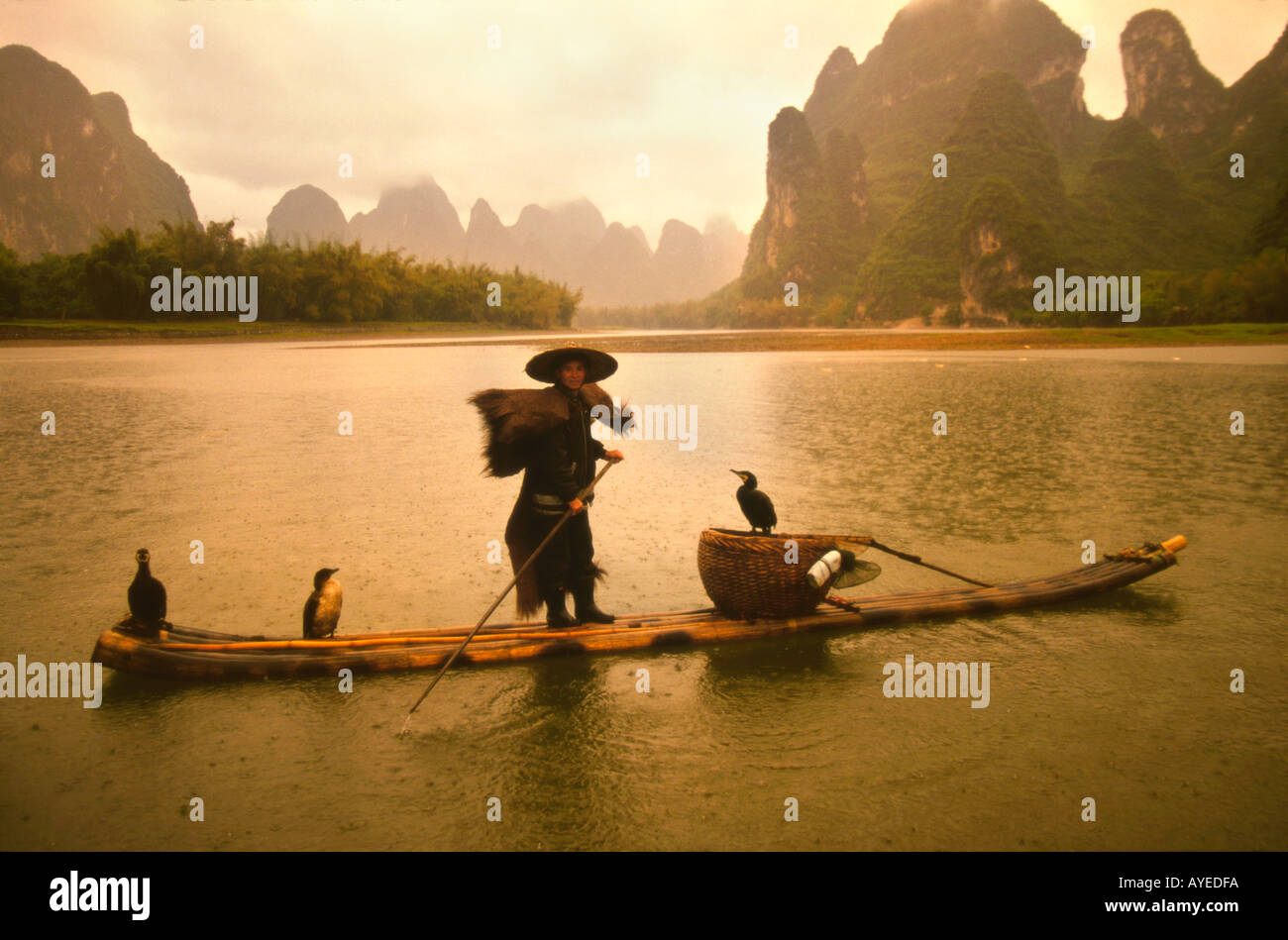 Fisherman in cape de pluie et un chapeau de pêche avec les cormorans sur la rivière Li à Yangshuo Guangxi Chine pluie Banque D'Images