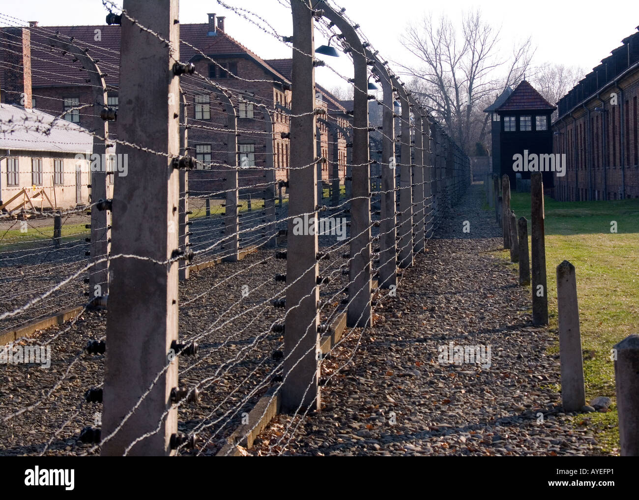 Camp de concentration nazi d'Auschwitz en Pologne Banque D'Images