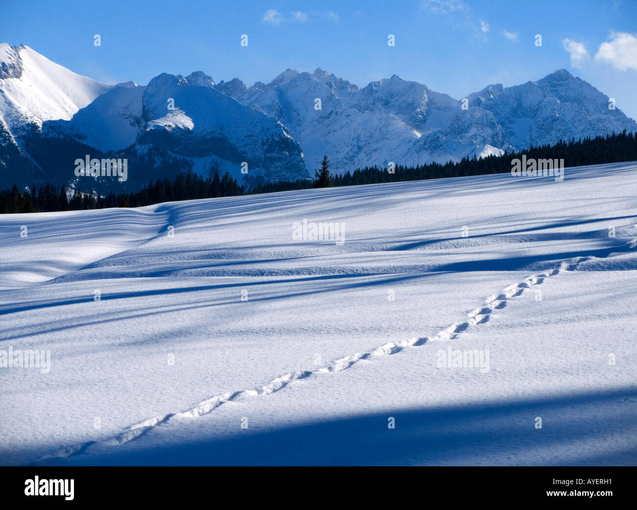 Mt de Tatras Bukowina Tatrzanska de Pologne hiver Banque D'Images