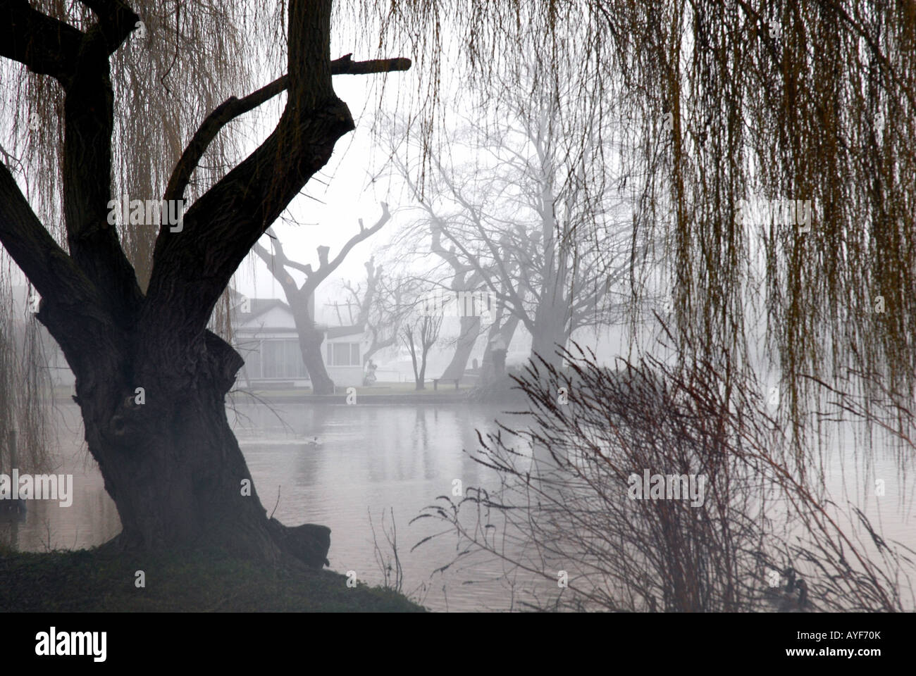 Tamise sur un hivers brumeux jour UK Surrey Shepperton Banque D'Images