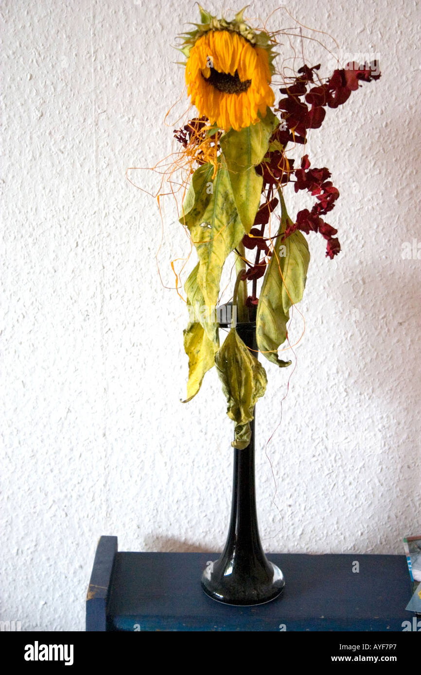 Bouquet de tournesols fanés dans un vase. Concept - retraite obsolète. Le  Centre de la Pologne Lodz Photo Stock - Alamy