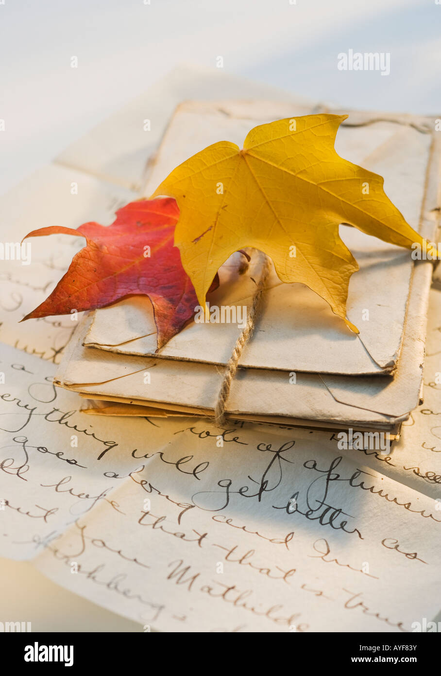 Les feuilles d'automne sur l'ensemble de lettres Banque D'Images