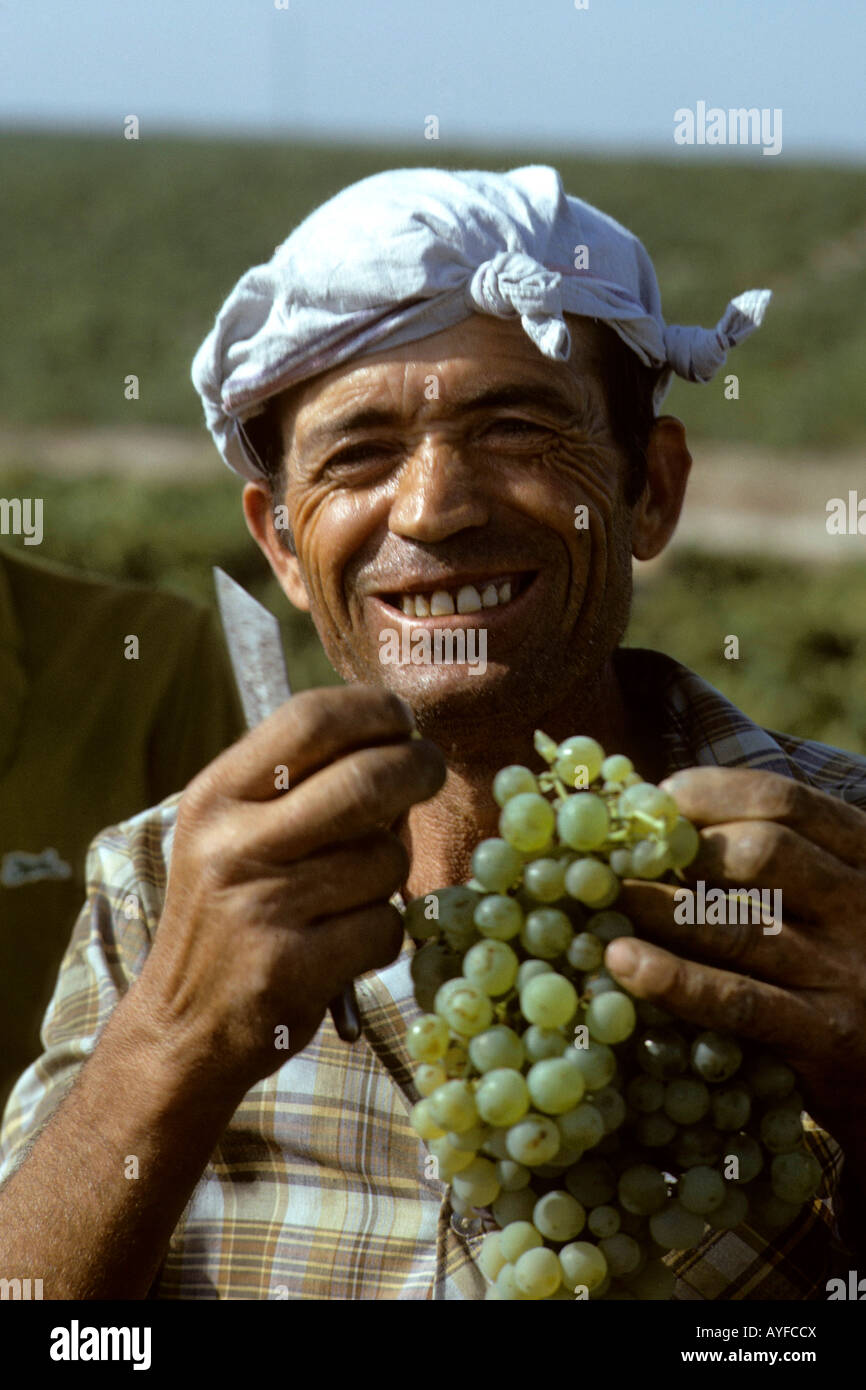 L'Espagne. L'Andalousie. Un raisin picker jouit de la saveur du délicieux raisins mûrs Banque D'Images