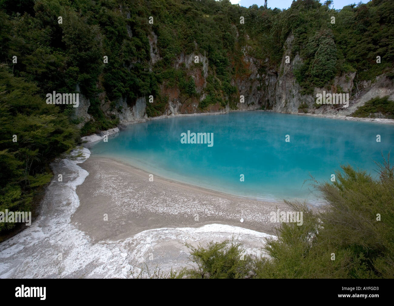 Lac bleu, vallée de Waimangu, activité géothermique, Île du Nord Nouvelle-Zélande Banque D'Images