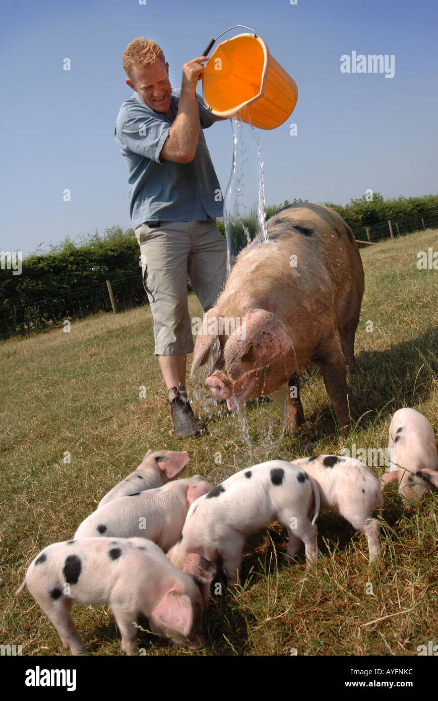 COUNTRYFILE présentatrice TV ET PROPRIÉTAIRE DE LA COTSWOLD FARM PARK ADAM HENSON VERSER UN SEAU D'EAU SUR UN VIEUX GLOUCESTER PLACE PI Banque D'Images