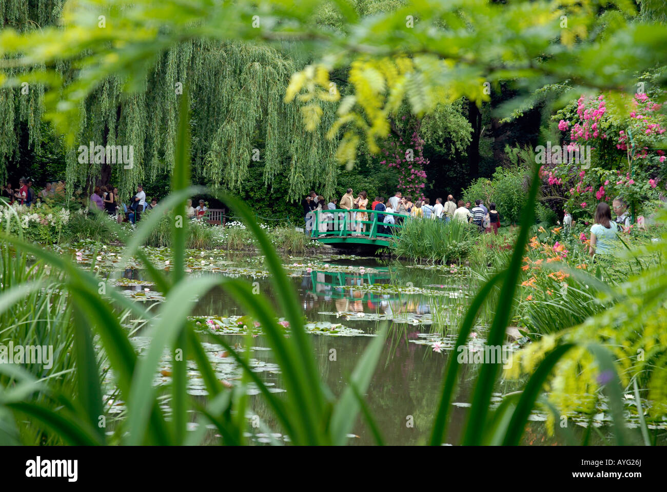 Jardin d'eau de Claude Monet peintre impressionniste français célèbre 18401926 Giverny Normandie France Banque D'Images