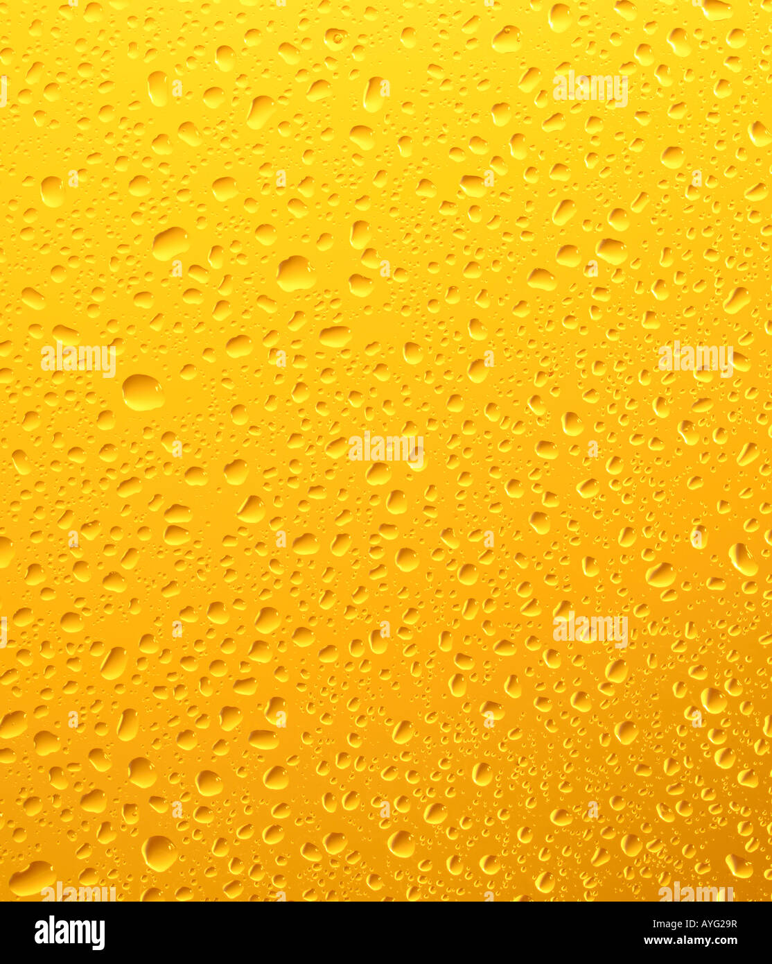 Verre de bière froide avec condensation Extreme Close Up Banque D'Images