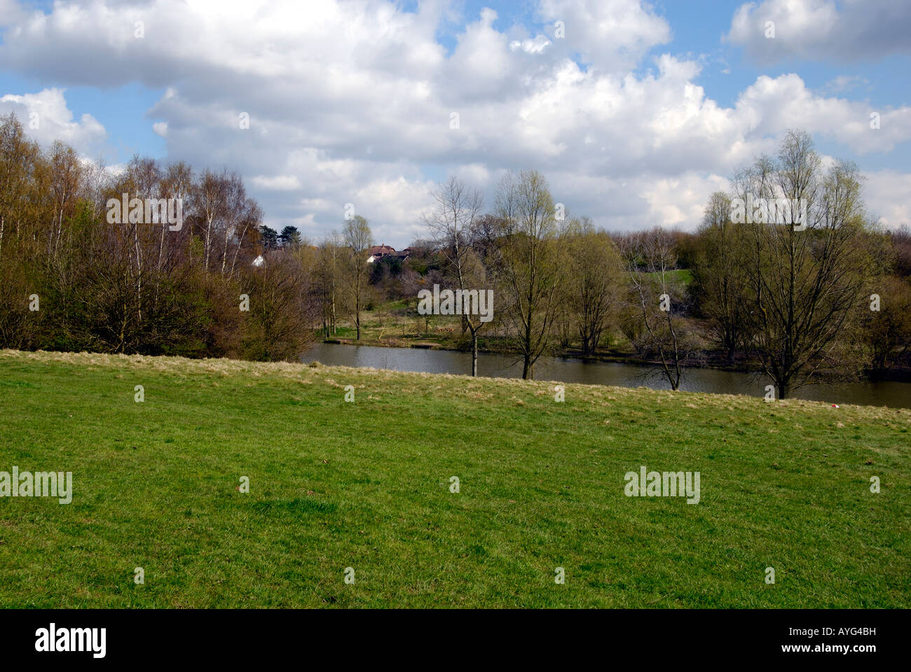 High Woods Country Park, Colchester, Essex Banque D'Images