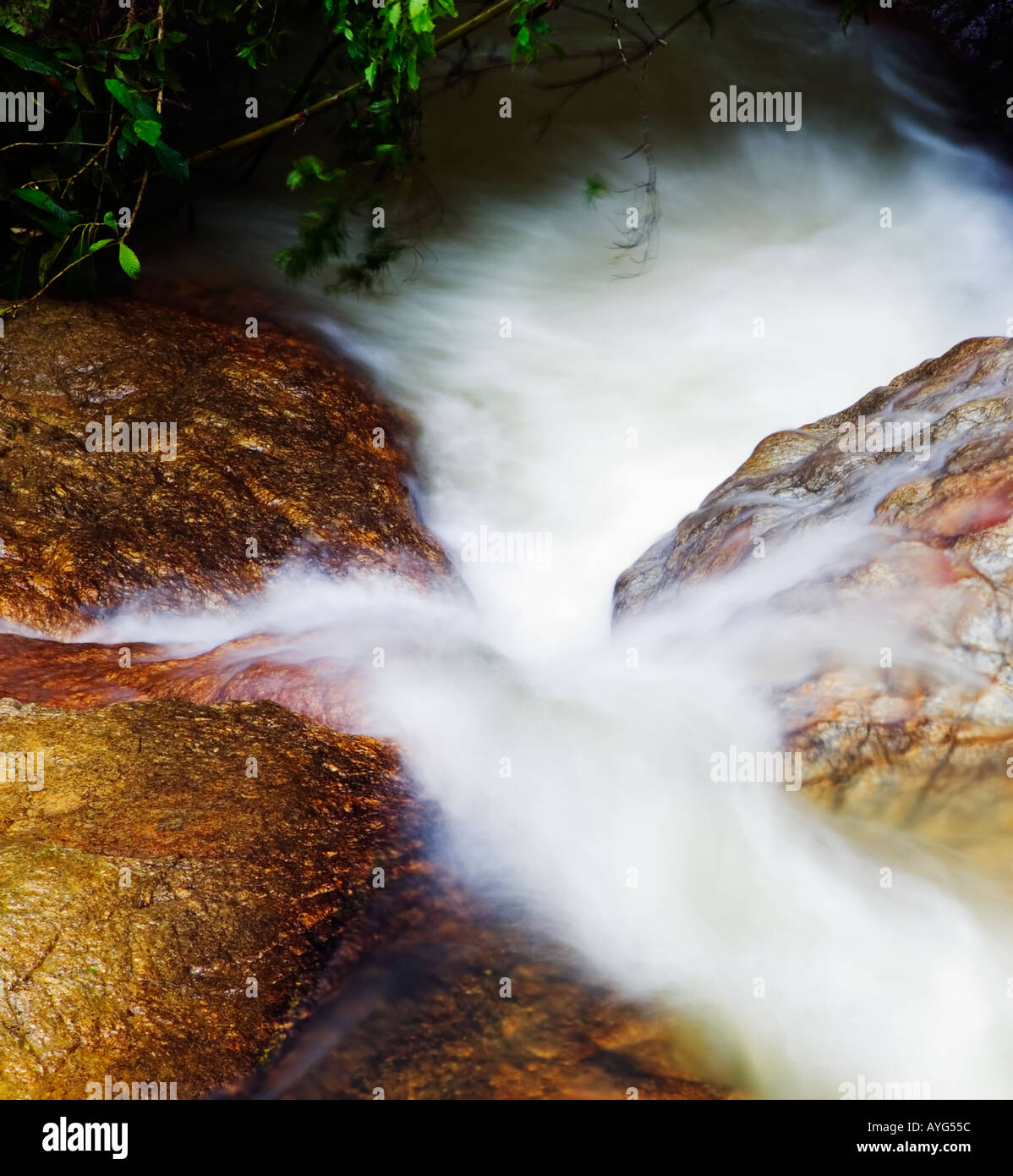 Déménagement de l'eau sur les pierres dans un ruisseau à Frasers Hill cascade, Malaisie Banque D'Images