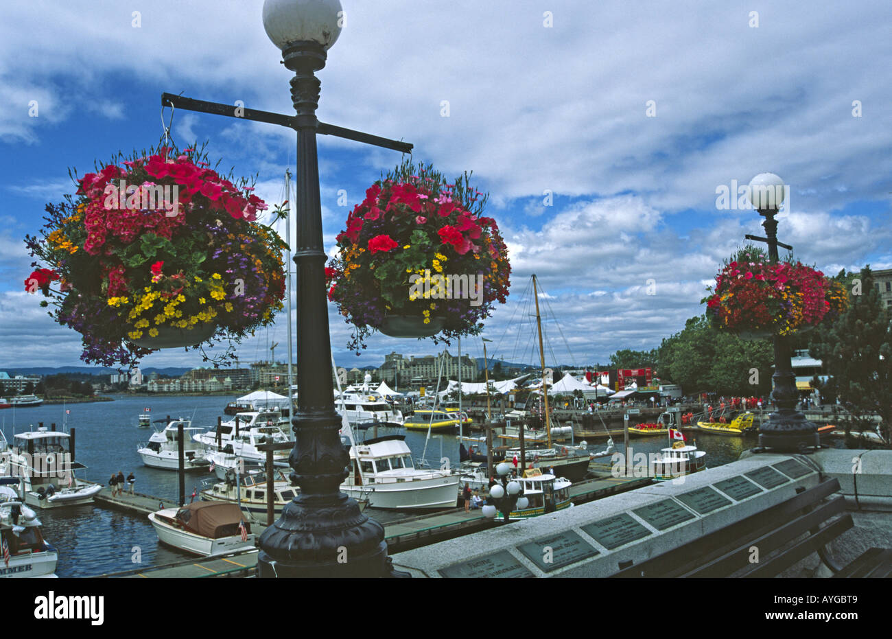 Le front de mer à Victoria (Colombie-Britannique), montrant l'impressionnante de fleurs. Banque D'Images