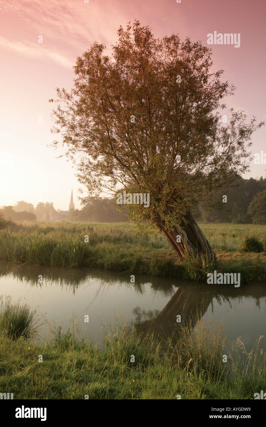 Brume matinale sur la rivière Windrush dans la région des Cotswolds près de Burford Banque D'Images