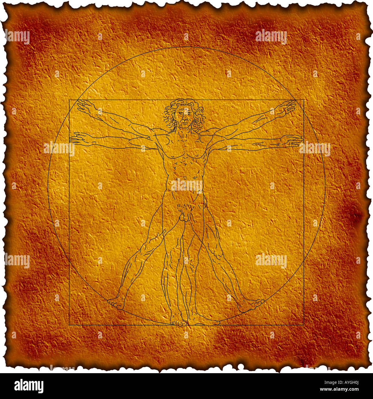 Homme de Vitruve par Leonardo da Vinci avec bords brûlés Banque D'Images