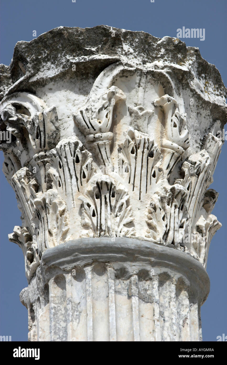 Colonne décorative cannelés ruines de Carthage Tunisie Banque D'Images