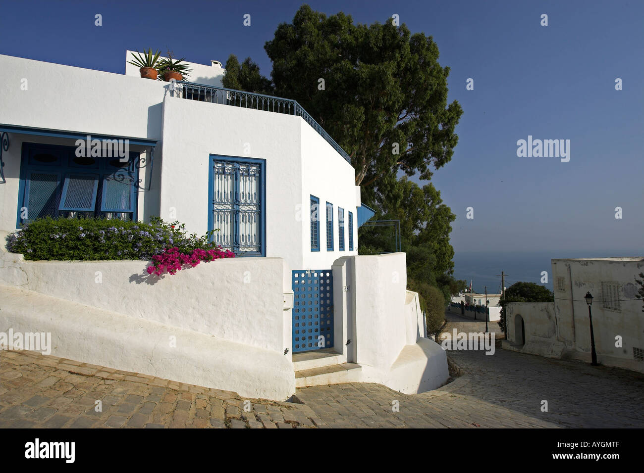 Accueil blanchis avec garniture bleu lilas et bougainvillées sur rue pavée, Sidi Bou Said Tunisie village Banque D'Images