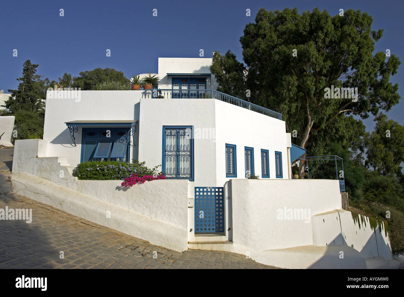 Accueil blanchis avec garniture bleue et lilas bougainvillea village Sidi Bou Said Tunisie Banque D'Images