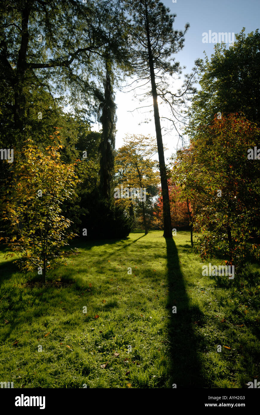 Les jardins de Wakehurst Place, West Sussex, à l'automne. Banque D'Images
