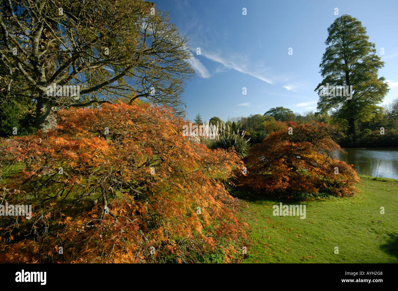 Les jardins de Wakehurst Place, West Sussex, à l'automne. Banque D'Images