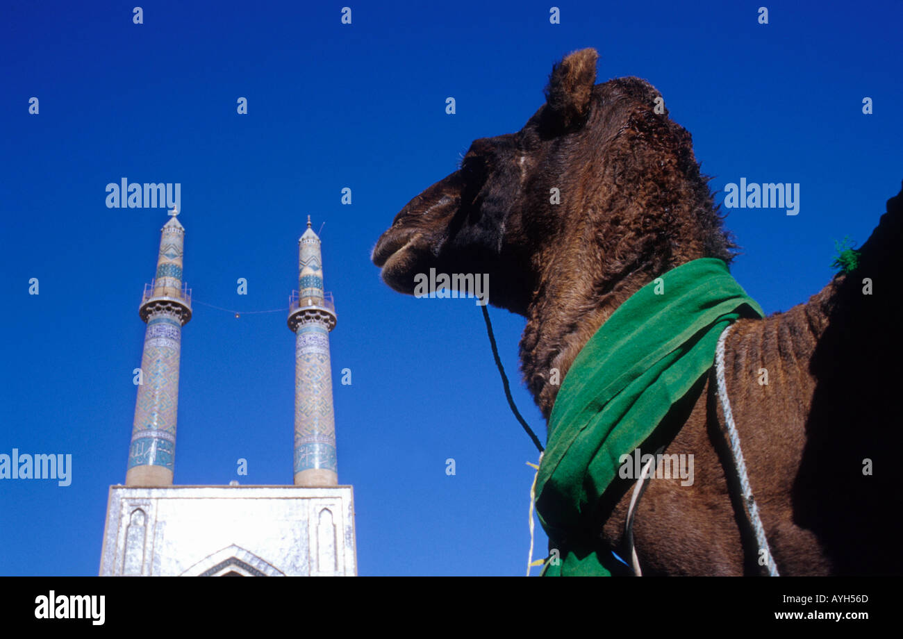 Par chameau mosquée Masjed e jame à Yazd, Iran Banque D'Images