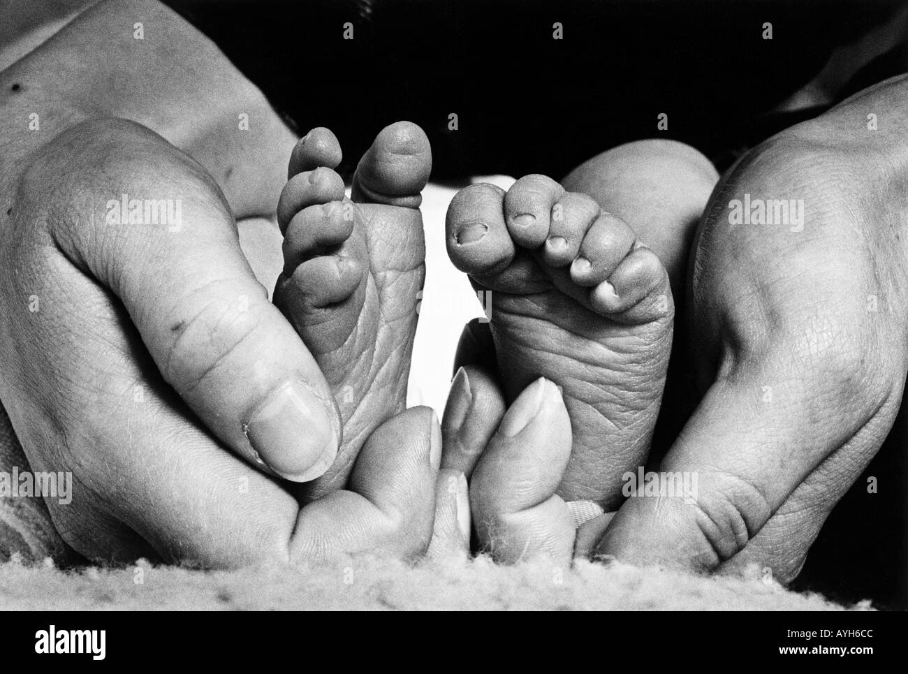 Pieds et mains de bébé d'amour Banque D'Images