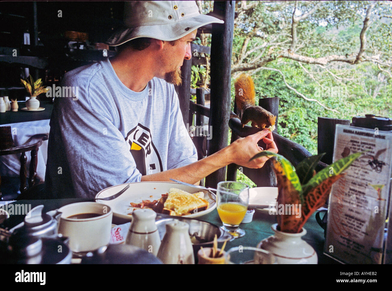 Afrique Kenya Tourisme Shimba Hills petit-déjeuner à l'alimentation de l'écureuil rouge restaurant en plein air à la Lodge Shimba Hills Banque D'Images